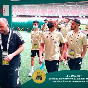 Djamel Belmadi Algérie